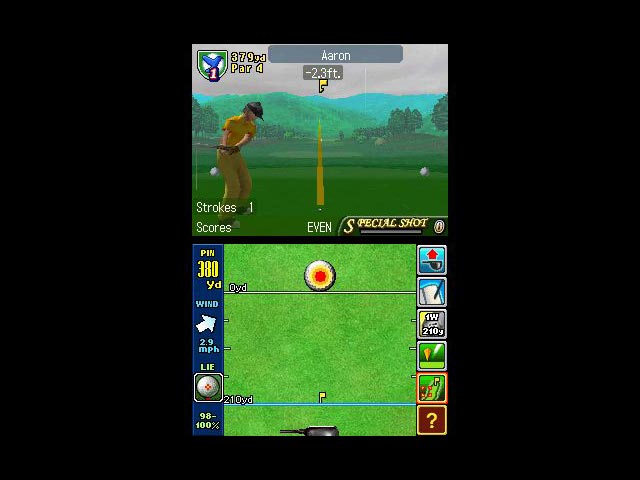 DS Screenshots