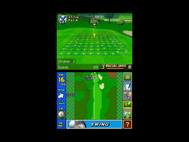 DS Screenshots