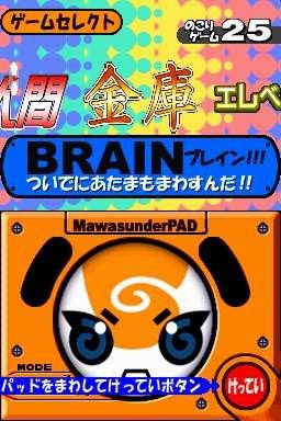 DS Screenshots