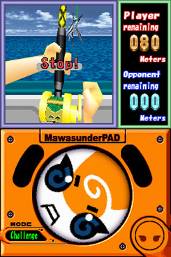 DS Screenshots