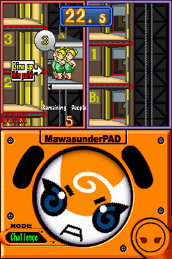 DS Screenshots