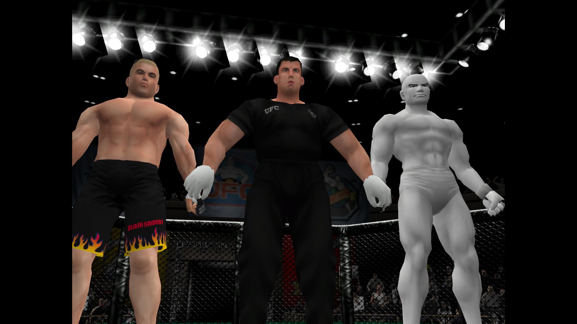 UFC/Pride