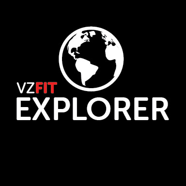 VZfit Explorer