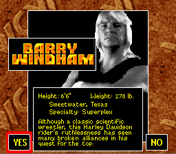 WCW SuperBrawl Wrestling