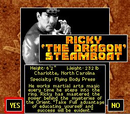 WCW SuperBrawl Wrestling