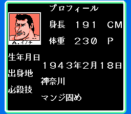 NES Screenshots