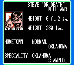 NES Screenshots