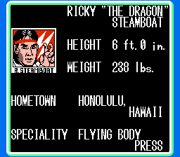 NES Screenshots