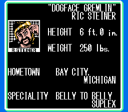 NES Screenshots