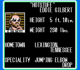 NES Screenshots