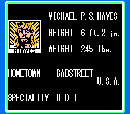 NES Screenshots