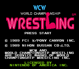 NES Screenshots