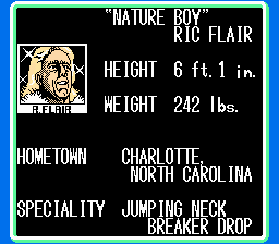 NES Screenshots
