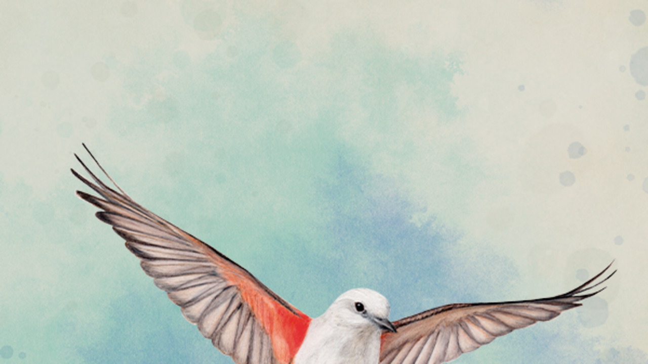 Wingspan