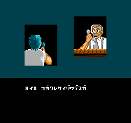 NES Screenshots