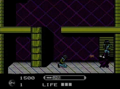 NES Screenshots
