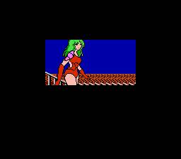 NES Screenshots