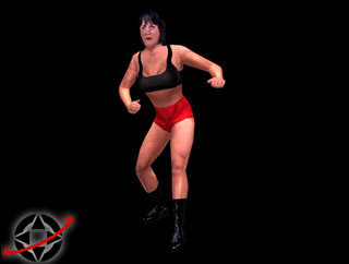 WWF Attitude