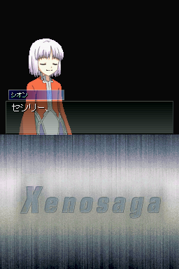 DS Screenshots