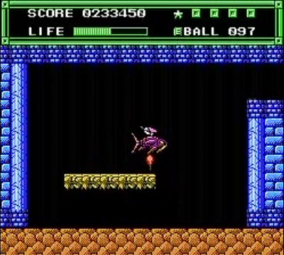 NES Screenshots