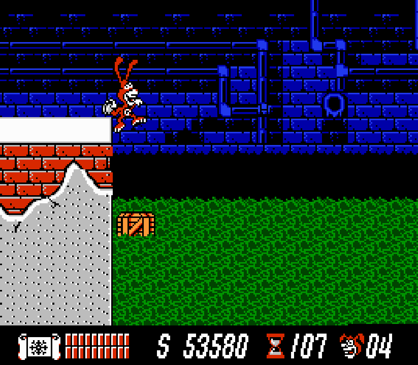 NES Screenshots