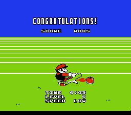 NES Screenshots