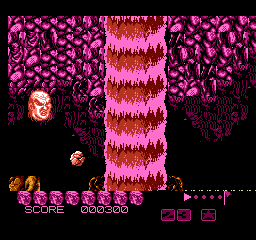 NES Screenshots