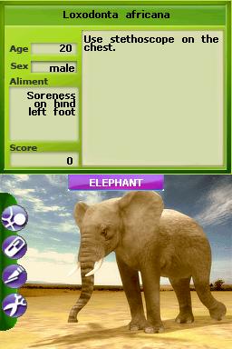 Zoo Vet: Endangered Animals